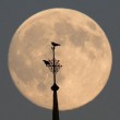 Super Luna 10 agosto 2014: stelle cadenti oscurate per la troppa luce FOTO 10