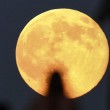 Super Luna 10 agosto 2014: stelle cadenti oscurate per la troppa luce FOTO 8