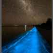 Alghe luminescenti sulla spiaggia di Sydney01