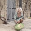 Helen Mirren, ultimo pasto: uova strapazzate e patate fritte. Spot in Salento 1
