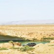 Lago misterioso appare dal nulla nel deserto di Gafsa in Tunisia 8