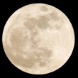 Stelle cadenti? Il 12 agosto lo spettacolo vero. Super Luna? Torna l'8 settembre