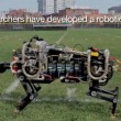 Il ghepardo-robot in grado di correre01