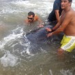 Vasto, sette capodogli arenati sulla spiaggia di Punta Penna03