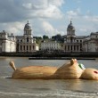 Ippopotamo gigante di legno lungo il Tamigi a Londra06