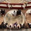 Papa Francesco sposa 20 coppie di Roma, anche conviventi e con figli 2