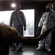 Yuka, il cucciolo di mammut femmina di 38 mila anni fa scoperto in Russia09