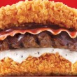 Il mega-hamburger senza pane. Pollo fritto, manzo e pancetta FOTO 2