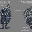Microbrachius, primo sesso penetrativo 380 mln di anni fa in fondo al mare 2