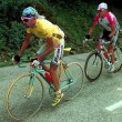 pantani