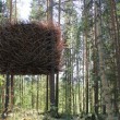 Svezia, Tree Hotel: dormire nel nido di uccello, nel cono blu, nella cabina01