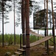 Svezia, Tree Hotel: dormire nel nido di uccello, nel cono blu, nella cabina5
