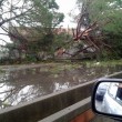 Acireale, tromba d'aria: tetti scoperchiati, alberi sradicati, pali divelti FOTO8