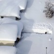 Freddo polare negli Usa: neve sulla costa occidentale, sotto zero Florida e Hawaii21