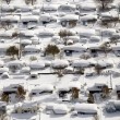Freddo polare negli Usa: neve sulla costa occidentale, sotto zero Florida e Hawaii24