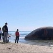 Carcassa di balena rischia di esplodere causa gas FOTO 01