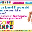 "Escort for Expo": sito "recluta" prostitute volontarie per Milano 2015