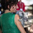 Australia: Agnese Landini, la moglie di Renzi prende in braccio un koala01