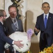 Obama grazia il tacchino Cheese