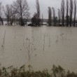 La piena del Po a Casalmaggiore, Cremona
