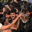 Ashura, il rito degli sciiti musulmani: uomini frustati e tagliati con catene e coltelli19