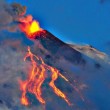 Etna erutta di nuovo (foto): pioggia di ceneri e polvere su Catania09