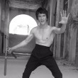 Bruce Lee, l'afghano Abbas Alizada04