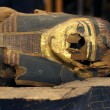 Mummia di ragazzo egiziano di 14 anni nel sarcofago aperto al museo Usa FOTO
