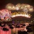 Capodanno a Sydney: 100mila fuochi d'artificio, 1 mln e 200mila in piazza FOTO10