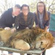 Foto con Leone drogato 02