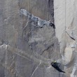 El Captain, scalata impossibile: Kevin Jorgeson e Tommy Caldwell in cima 5