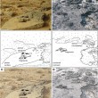 Le immagini dei rover: forse inquadrano fossili su Marte 4