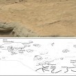 Le immagini dei rover: forse inquadrano fossili su Marte 7