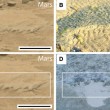 Le immagini dei rover: forse inquadrano fossili su Marte 8