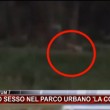 Capaccio, sesso nel parco La Collinetta VIDEO: passanti filmano tutto 01