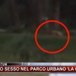 Capaccio, sesso nel parco La Collinetta VIDEO: passanti filmano tutto 05