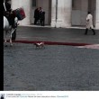 Briciola, il cane mascotte dei carabinieri03