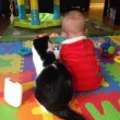 Gatti babysitter che accudiscono e fanno compagnia ai bimbi 06