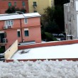 Maltempo, grandine imbianca Roma 5