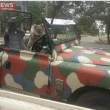Australia, koala vuole "rubare" auto in sosta15