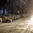 Maltempo: neve al Nord, bora a 150 km/h a Trieste, acqua alta a Venezia FOTO 11