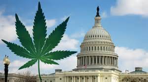 La marijuana a Washington