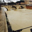 Ponte Umberto, Roma: uomo si butta nel Tevere, corpo sparito nel fiume in piena