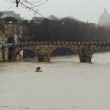 Ponte Umberto, Roma: uomo si butta nel Tevere, sommozzatori alla ricerca del corpo