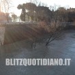 Roma, Tevere in piena: dopo le forti piogge livello del fiume a 11 metri FOTO 2