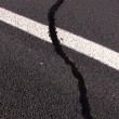 VIDEO YouTube. Crepa su A14: autostrada chiusa tra Puglia e Molise FOTO 2