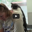 Il gatto che massaggia la schiena alla sua padrona (1)