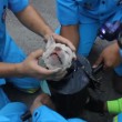 VIDEO YouTube: cane intrappolato nel tubo d'acciaio, 40 minuti per liberarlo02