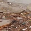 VIDEO YouTube: Cile, cane tra i detriti dell'alluvione si salva per miracolo3