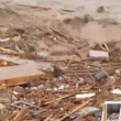 VIDEO YouTube: Cile, cane tra i detriti dell'alluvione si salva per miracolo4